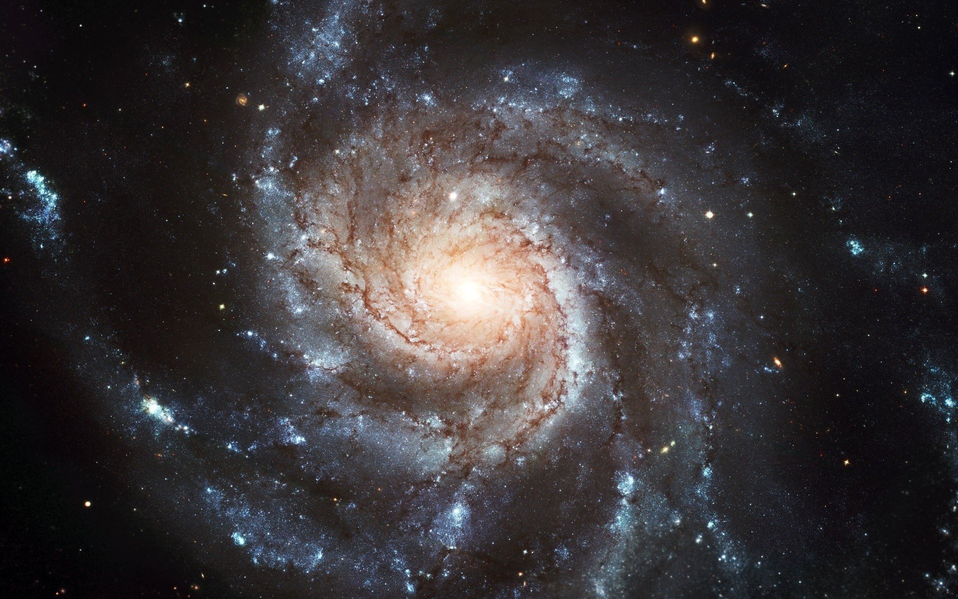 spirale poussière cosmique étoiles brun univers galaxie espace nébuleuse