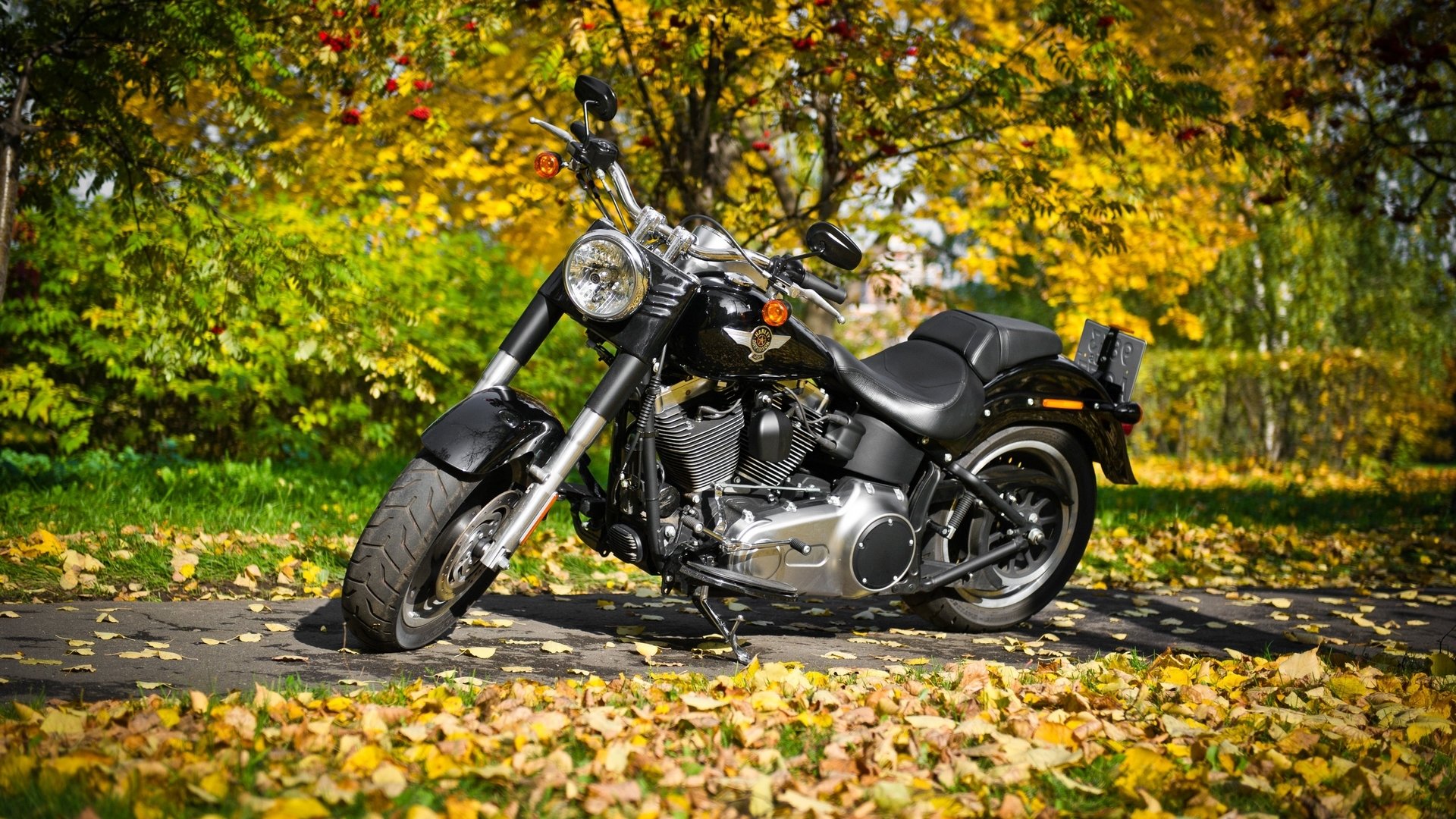 harley davidson bicicletas metal otoño