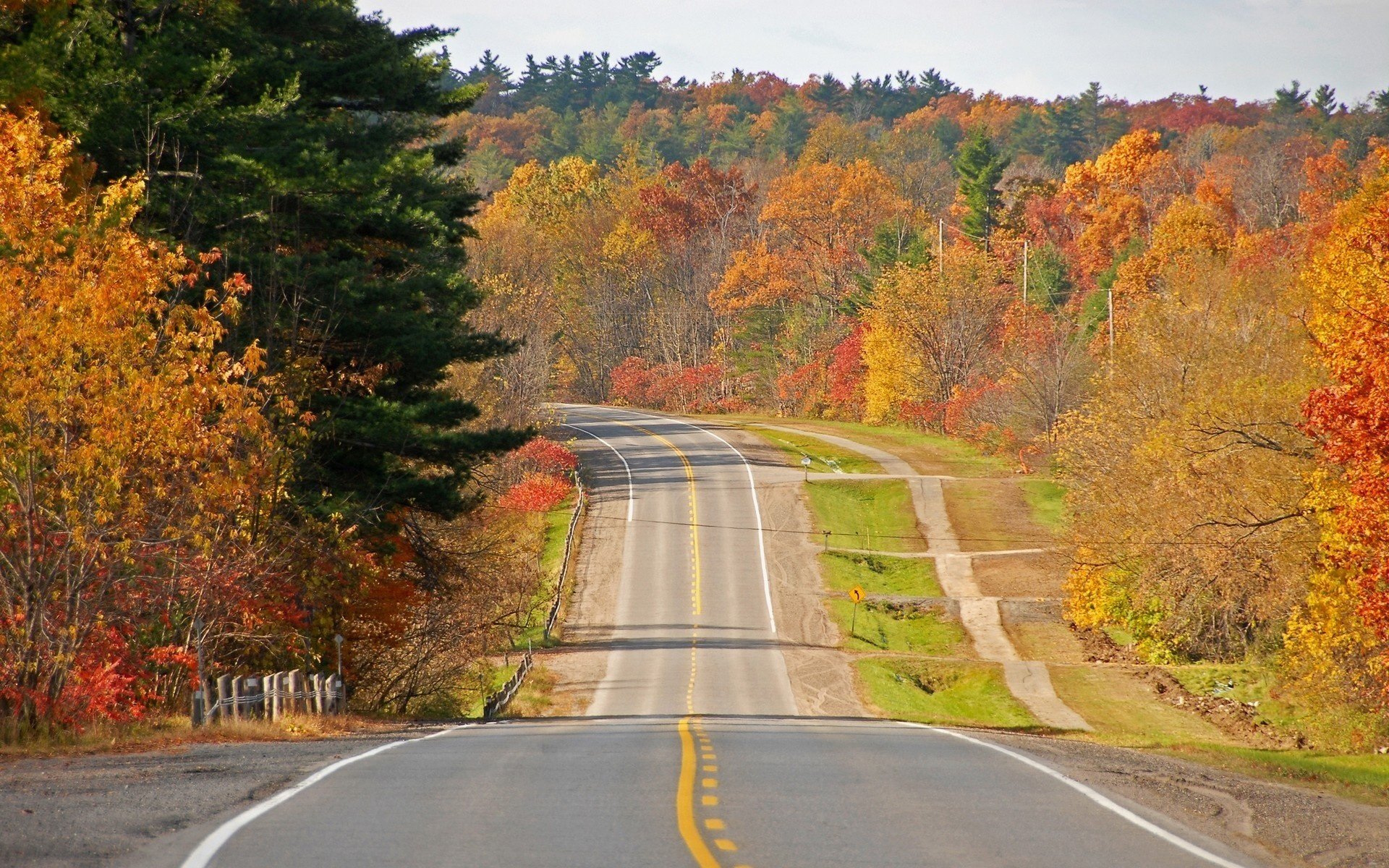 highway forest plantations autumn colors forest roads leaf fall golden time indian summer yellow leaves descent marking fence sign asphalt tree