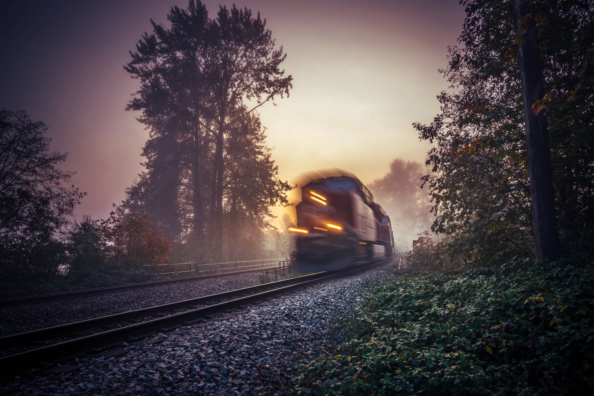 mattina nebbia treno