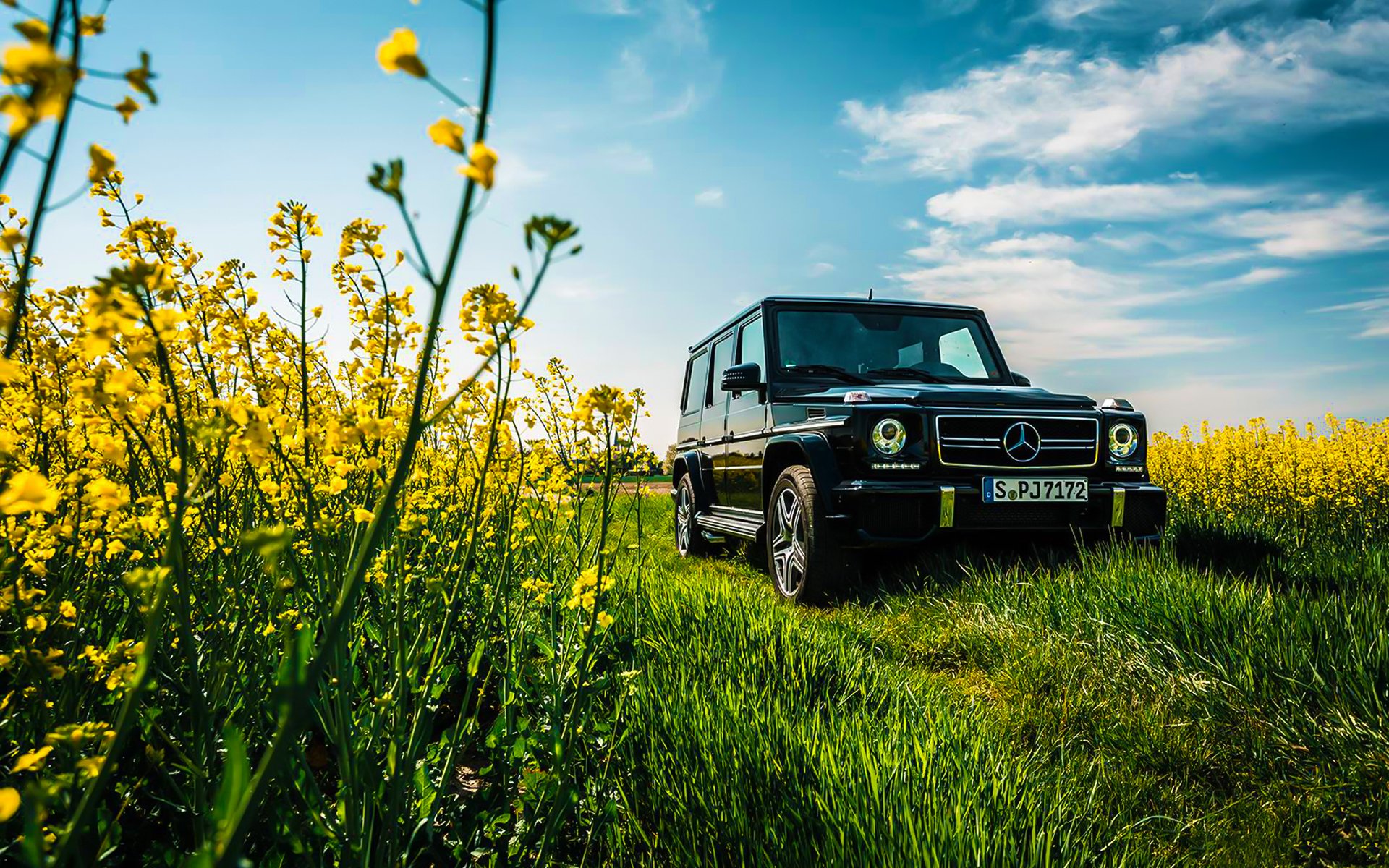 mercedes-benz g63 amg herbe été fleurs ciel soleil noir voiture avant