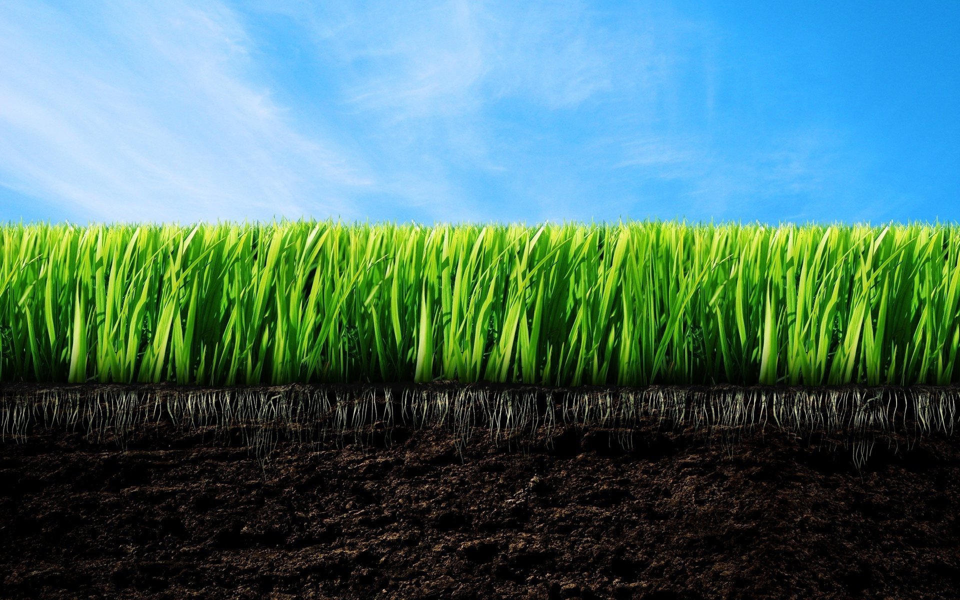 minimalismo tierra hierba verde cielo azul vegetación cielo nubes macro