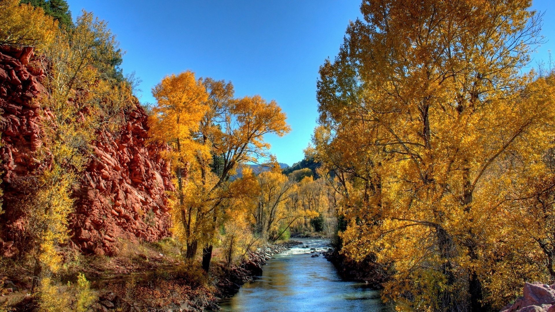 feuillage jaune rivière de montagne arbres forêt rivières chute des feuilles âge d or été indien feuilles jaunes couleurs d automne