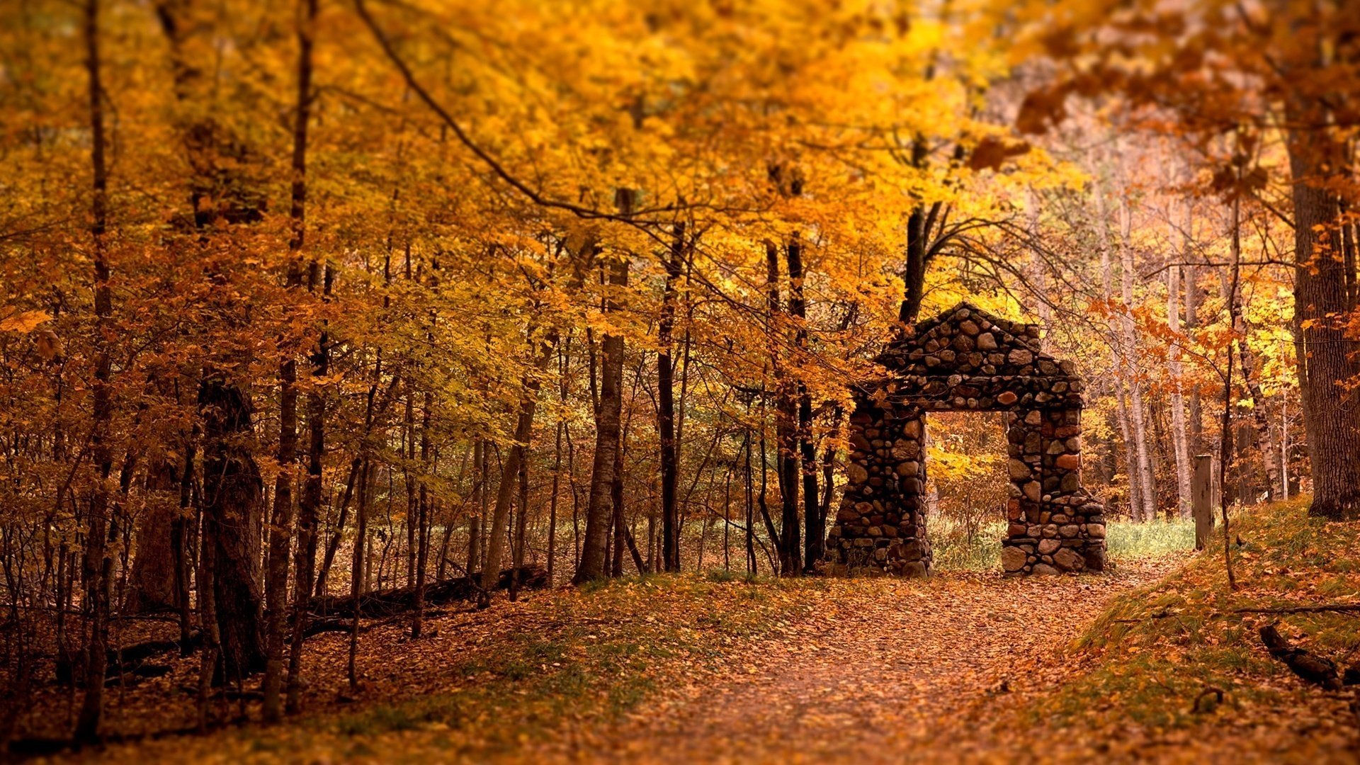 arco de piedra follaje en el suelo otoño bosque caída de hojas época dorada verano indio hojas amarillas