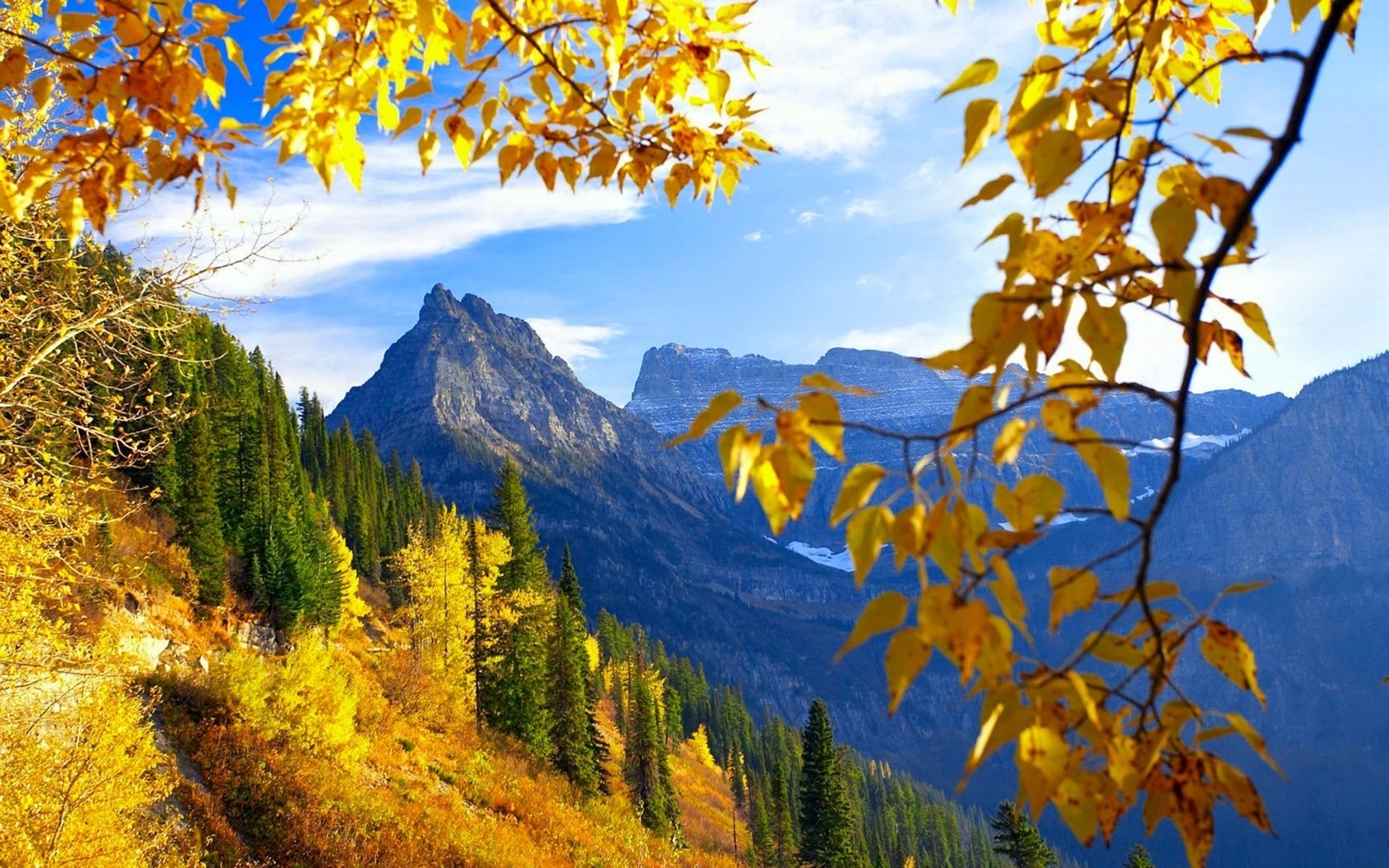 the leaves are yellow mountains forest branches autumn landscape nature view falling leaves golden time indian summer yellow leaves ate the sky rocks leaves heat snow