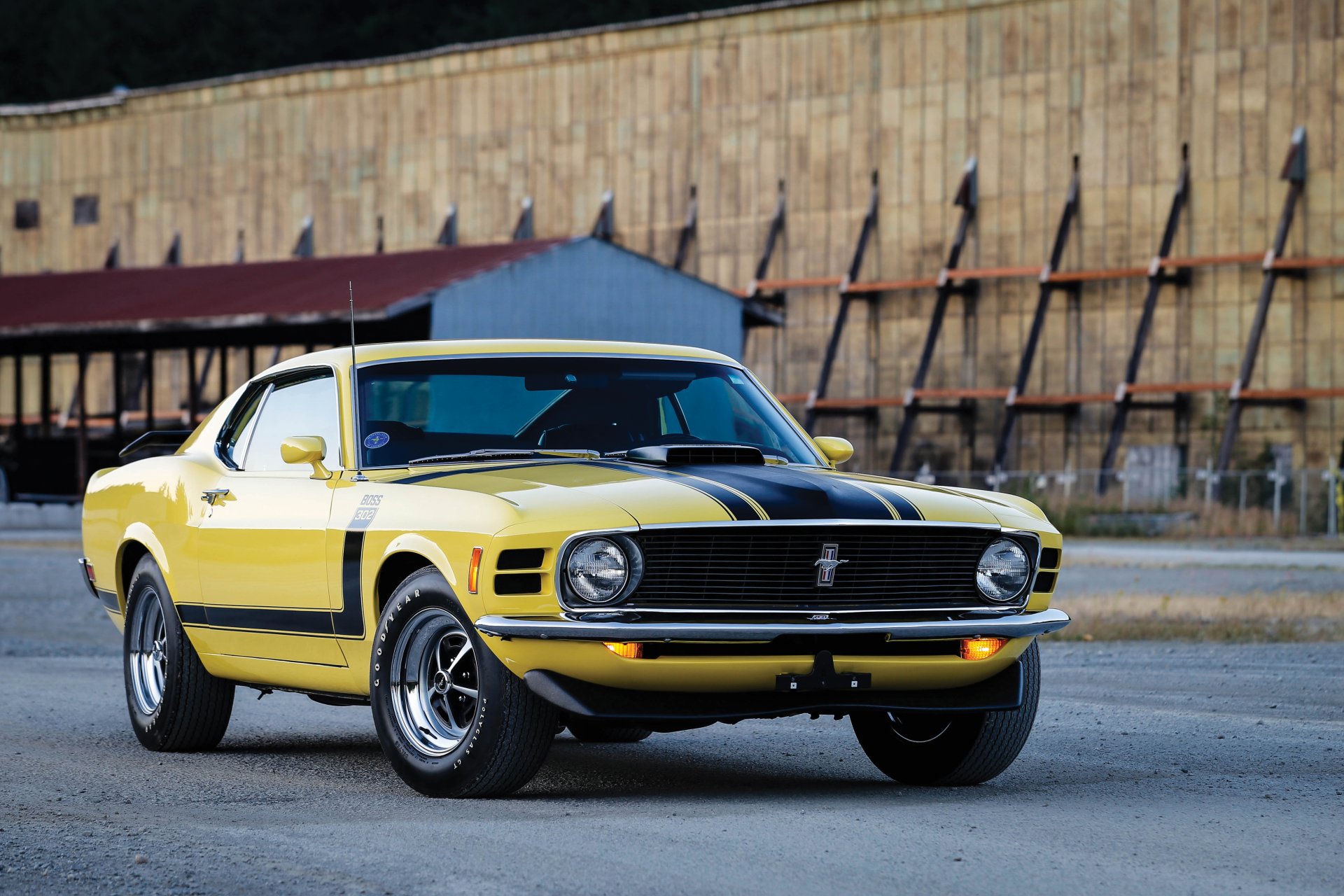 форд мустанг boss 302