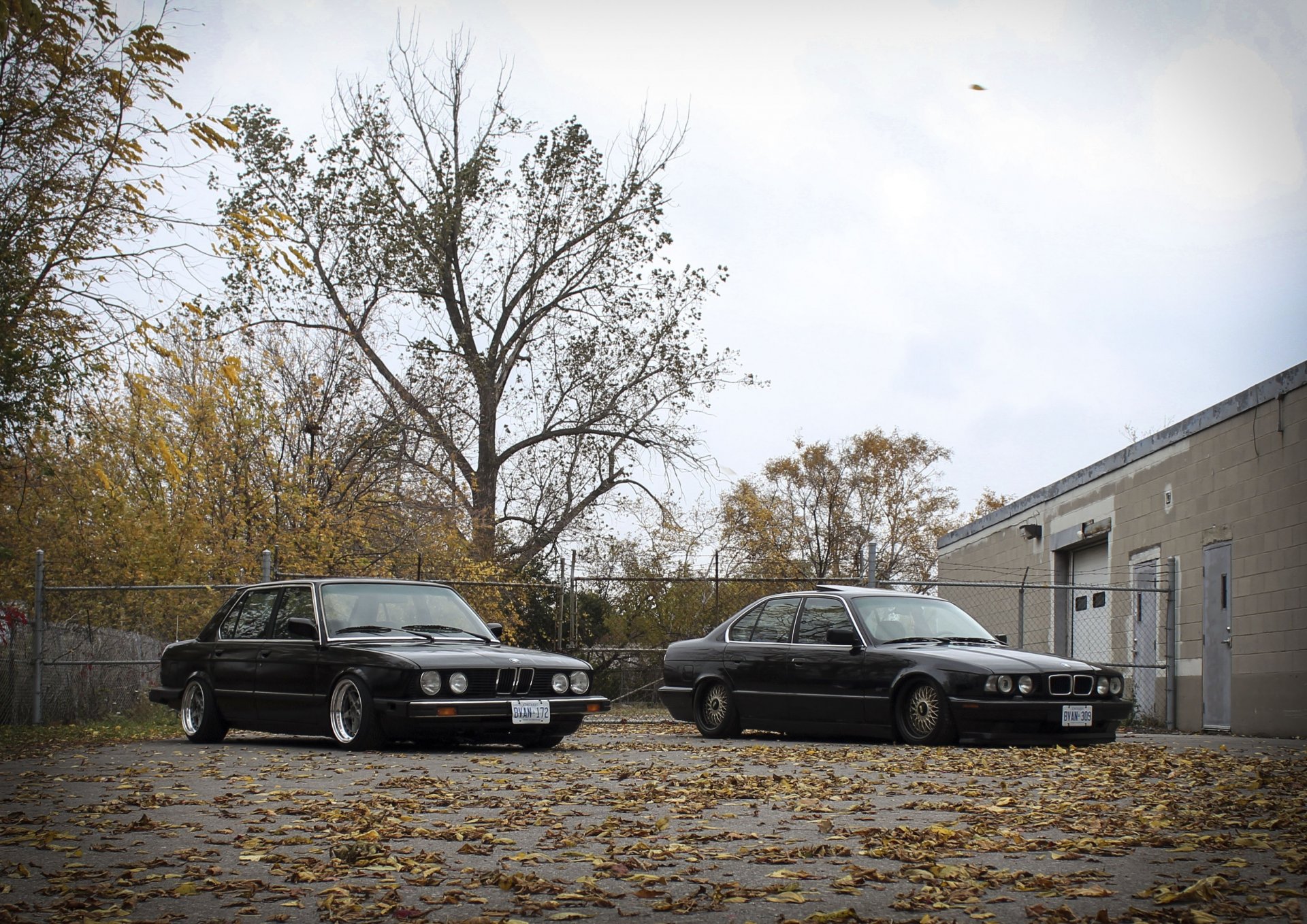 bmw e28 e34 position tuning jantes bmw classique automne feuilles