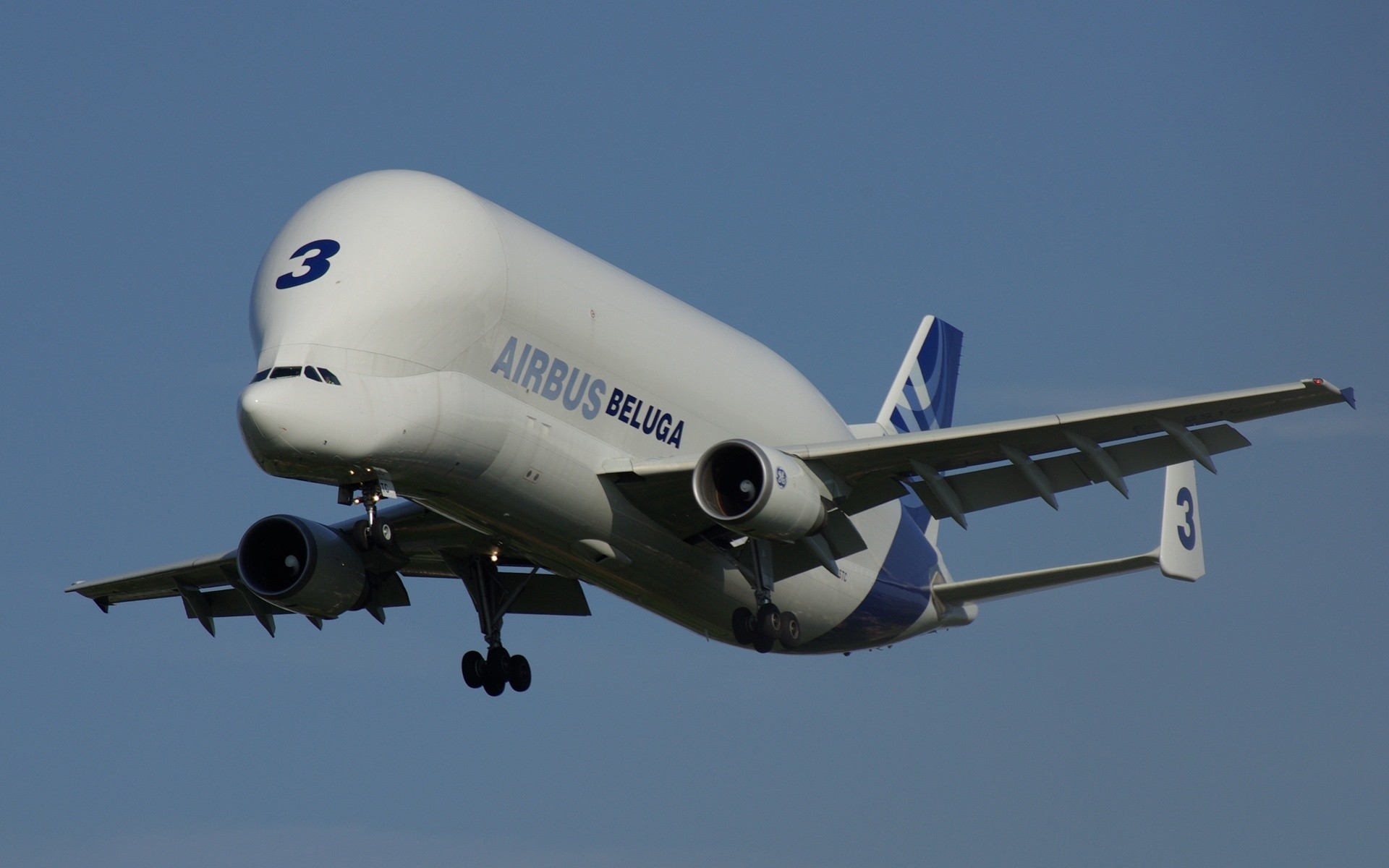 plane airbus beluga