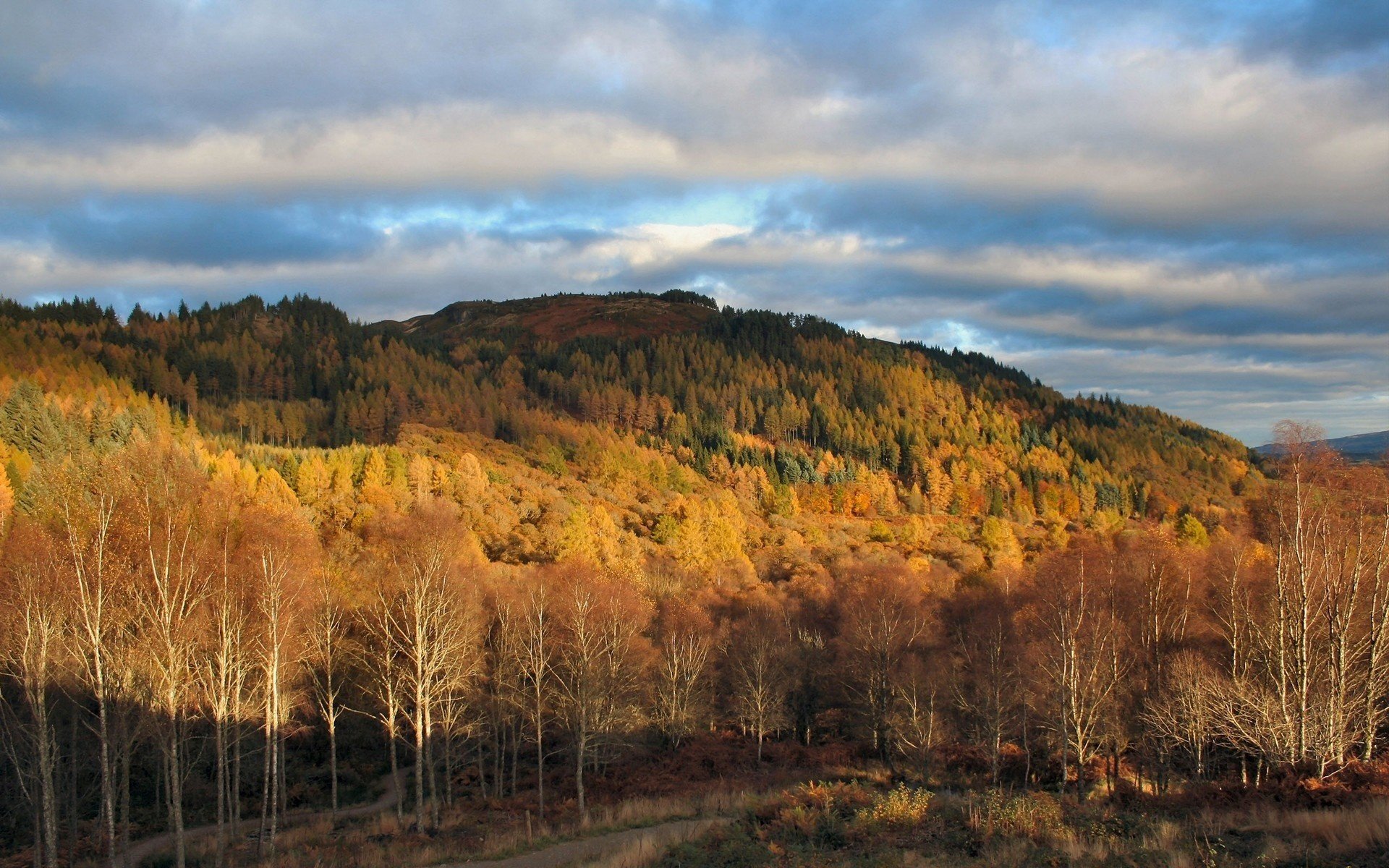 floraison arbres montagnes automne forêt chute des feuilles âge d or été indien feuilles jaunes ciel nuages nuages forêt d automne feuilles sérénité