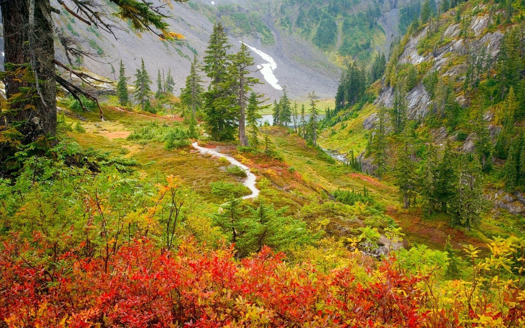 red yellow leaves path mountains forest autumn landscape nature view falling leaves golden time indian summer yellow leave