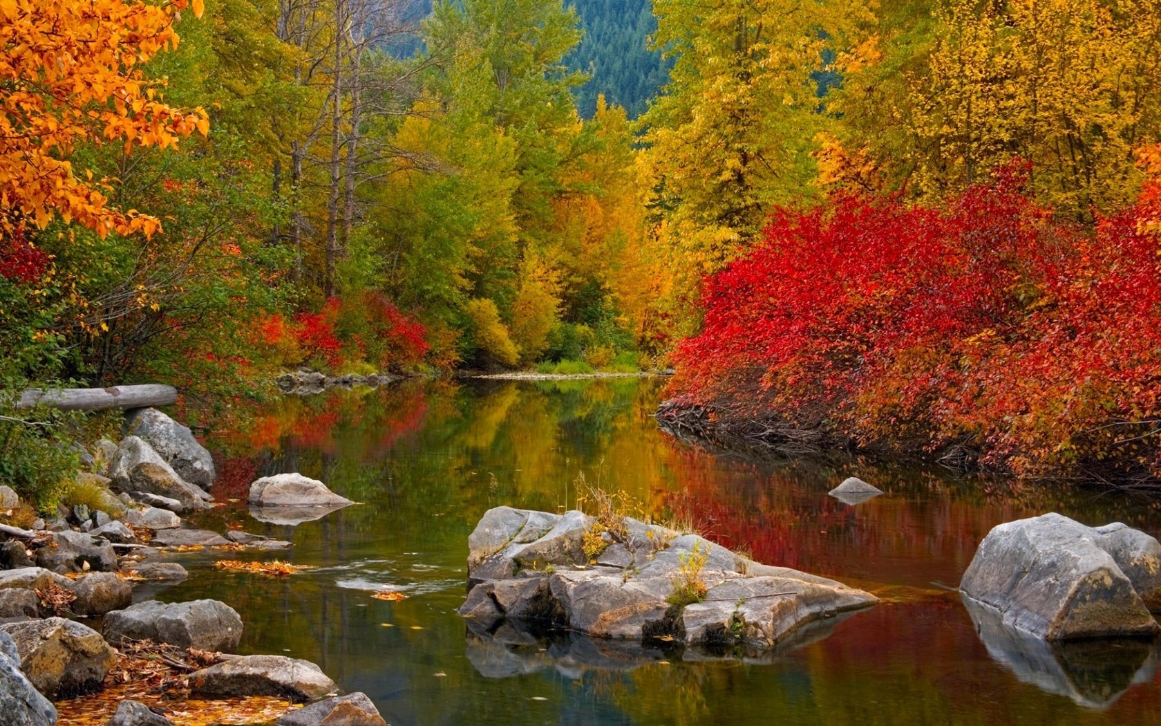 lago piedras colores de otoño bosque ríos caída de hojas época dorada verano indio hojas amarillas