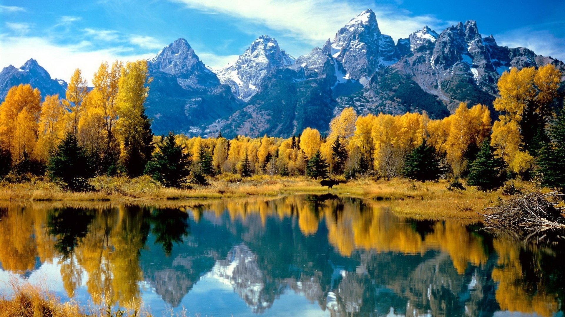 see berge kühle gelbes laub wald wasser laubfall goldene zeit sommer gelbe blätter herbstfarben reflexion