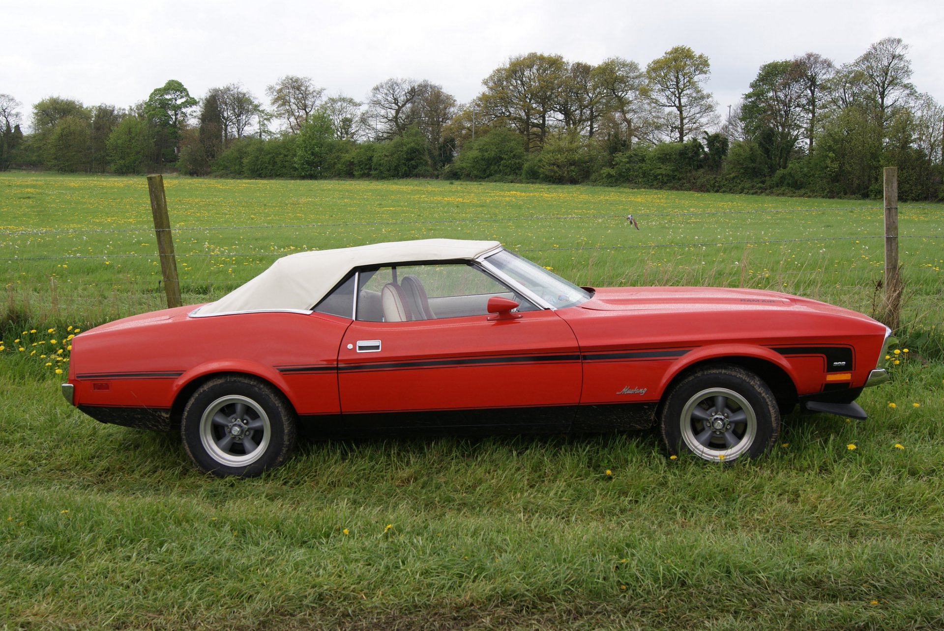 ford mustang 1973 coche del músculo clásico naturaleza