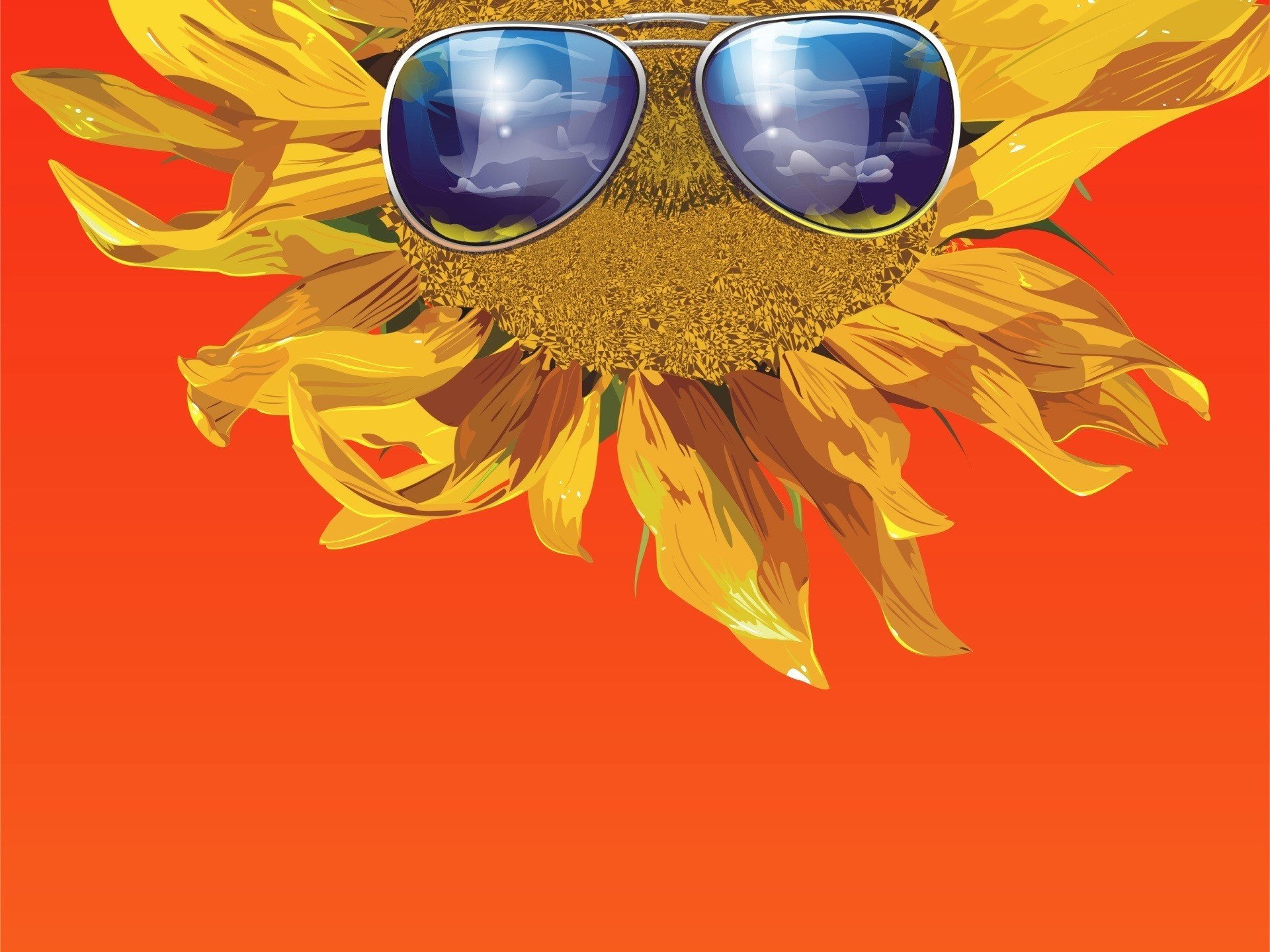 sonnenblume brille reflexion wolken kreativ