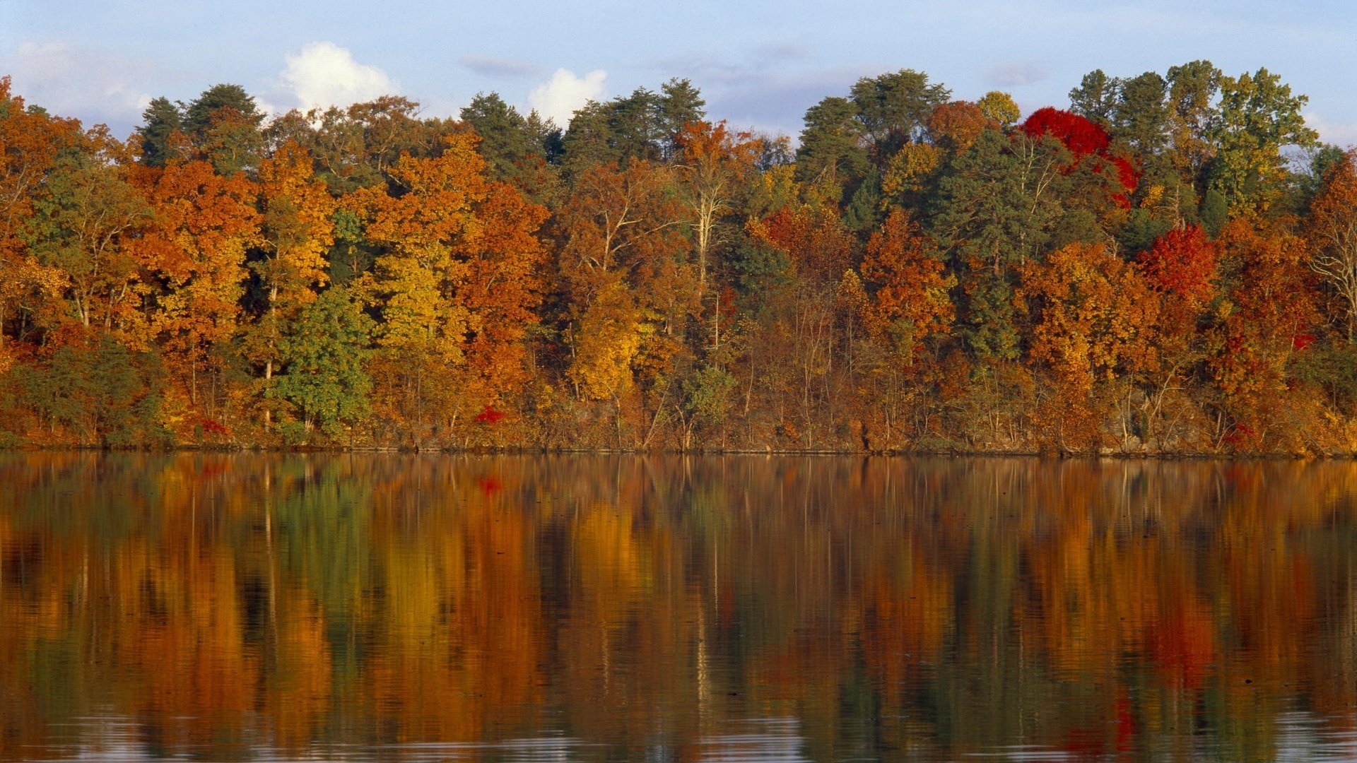 lake reflection colorful foliage forest water falling leaves golden time indian summer yellow leaves the colors of autumn