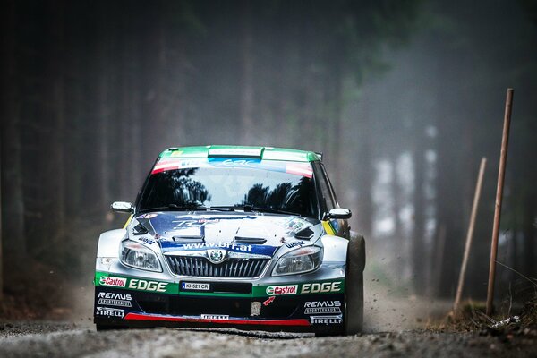 Rallye dans les bois sur une voiture skoda