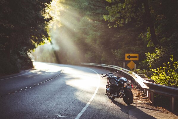 Moto en la sombra en la carretera entre el bosque iluminado por el sol