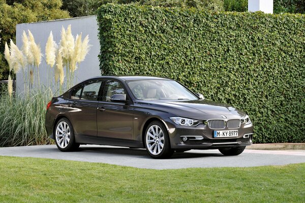 A beautiful black bmw is standing on a green lawn