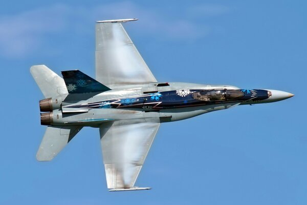 Avion. Cf -18 hornet. Ciel. Aviation