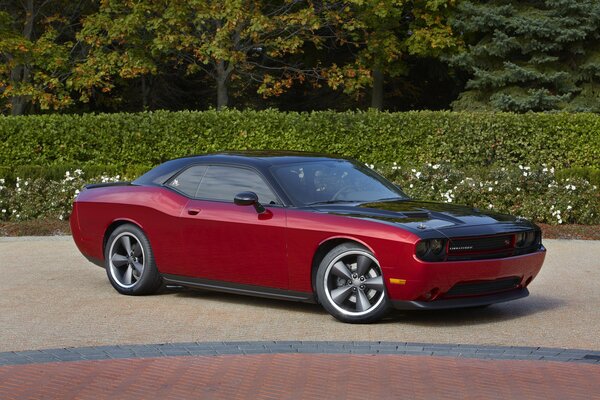 Design dodge challenger armonia di auto e natura