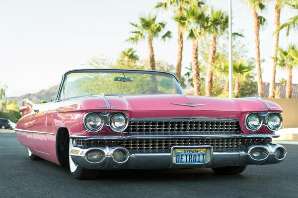 Cadillac convertible 1959. Rosa bajo las palmeras