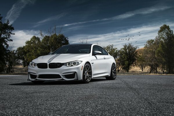 BMW M4 blanco en las Llantas de Vorsteiner