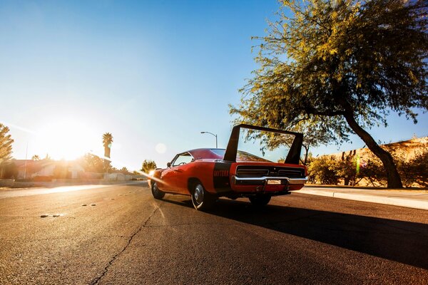 An old Dodge next to a tree on the background of sunset