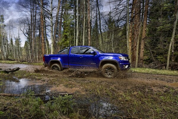 Chevrolet-Jeep auf der Straße im Wald