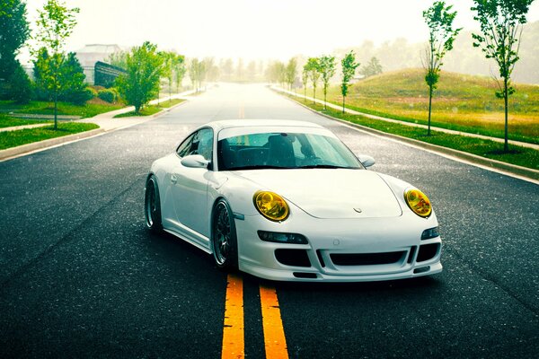 Porsche blanco con faros amarillos en la línea divisoria amarilla de la carretera en medio de la vegetación brillante