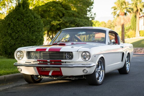 White Ford Mustang with a red stripe on the bumper