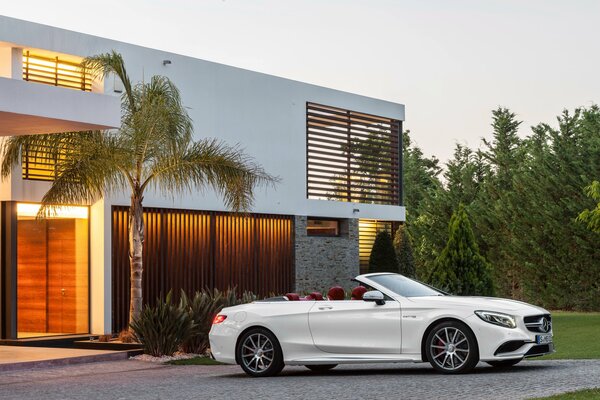 White convertible next to a palm tree and a house