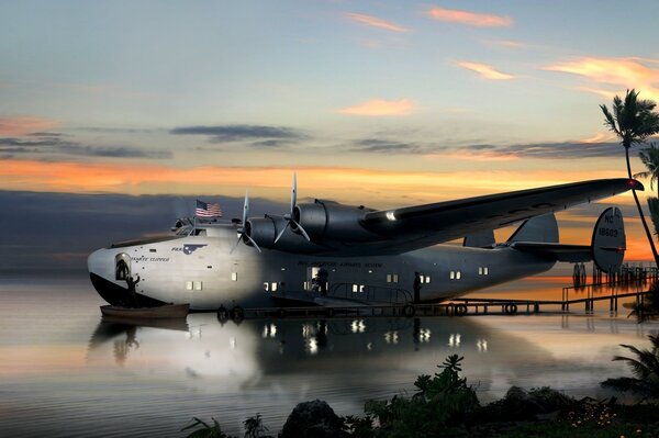 Avion américain de couleur noire sur fond d eau et coucher de soleil