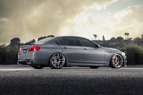 BMW M5 gris y paisaje pintoresco