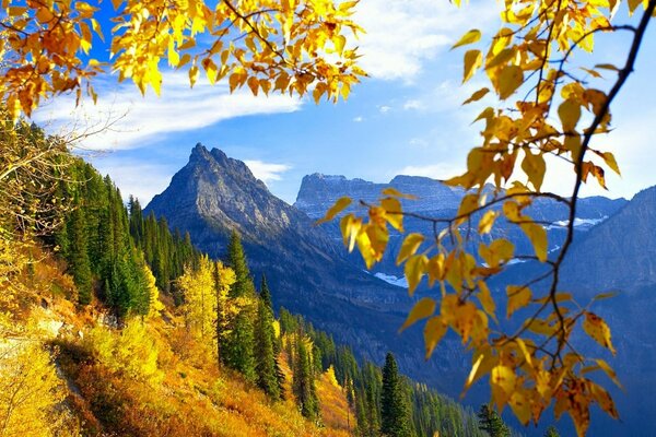 Montañas, bosques y hermosas maravillas del otoño