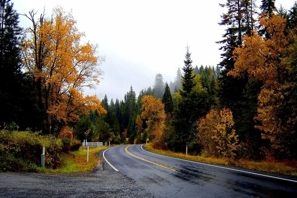 Route pluvieuse à l automne