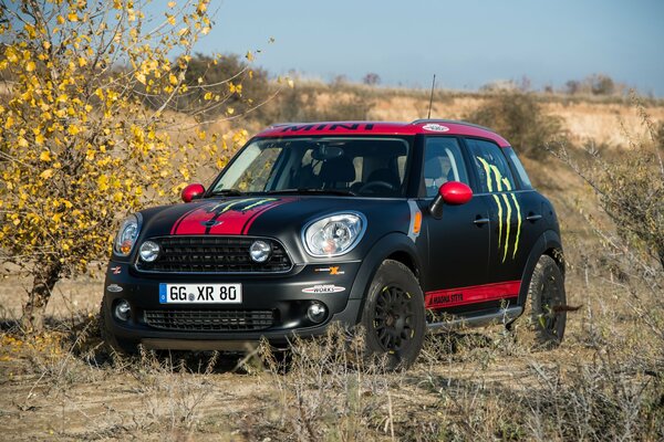 Beautiful black matte car in the field