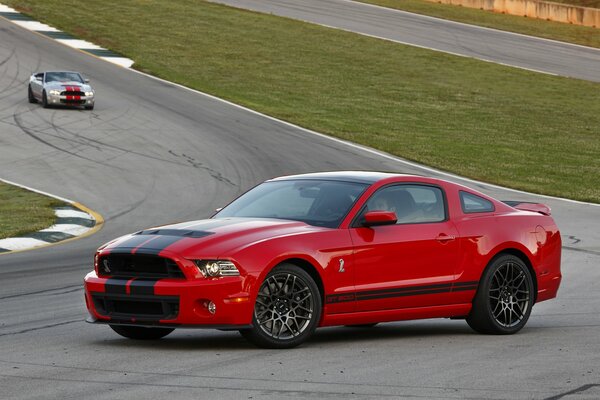 Mustang rouge sur la piste de course