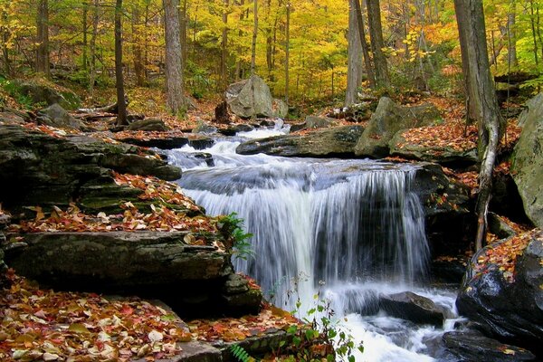 Berg Wasserfall im Schatten des Herbstwaldes