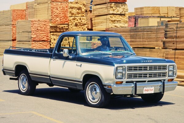 Sweptline pickup 1979 d150 en el fondo de las tablas