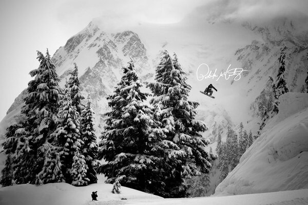 Snowboarder in winter mountains among Christmas trees