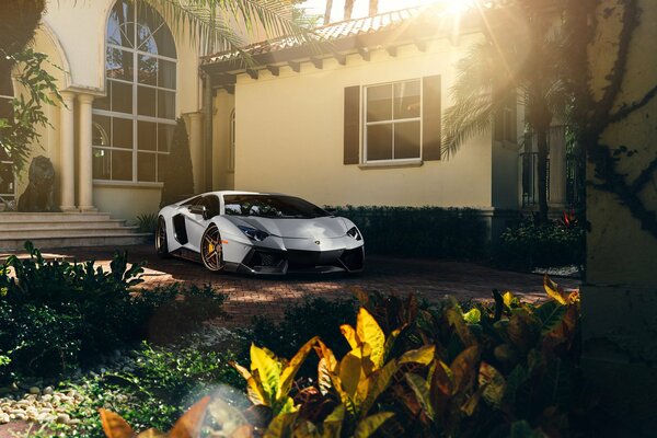 A beautiful white supercar is parked near the house