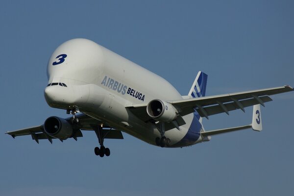 Avión Beluga flotando en el cielo