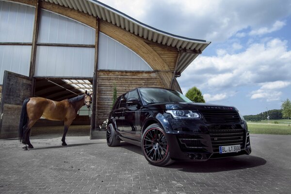 Renjrover negro junto con el caballo