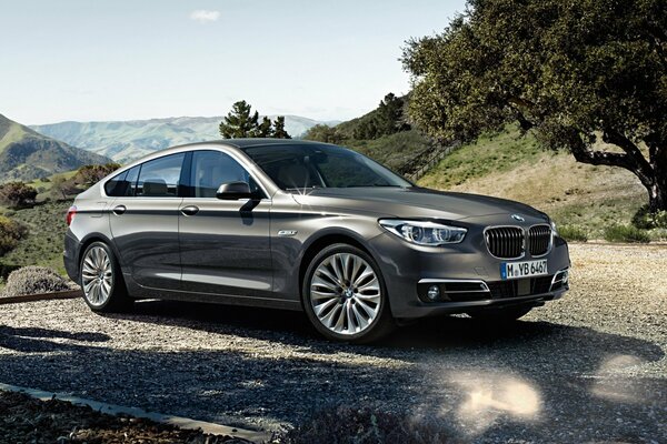 BMW 535I Auto im Hintergrund der Natur