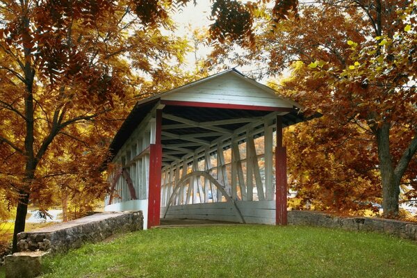 Ponte coperto sotto gli alberi autunnali