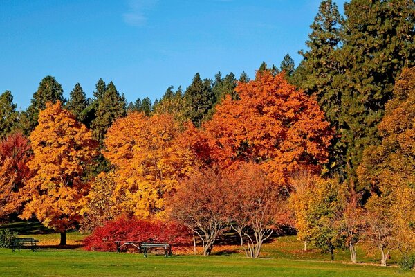 Beautiful park. Weekend. Pacification