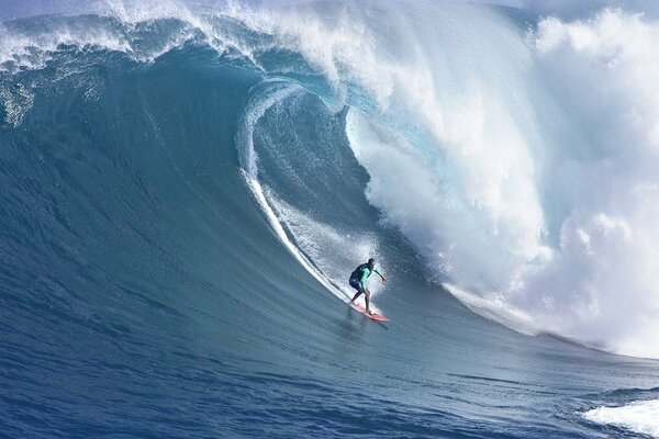 Welle surfen und brauchen nichts mehr