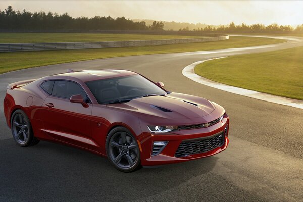 Red Chevrolet Camaro at the races