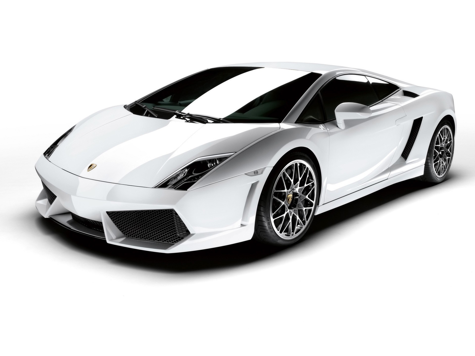 lambo blanc chic