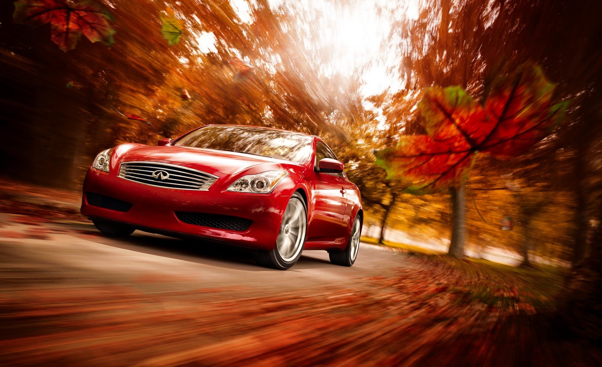 infiniti rouge automne